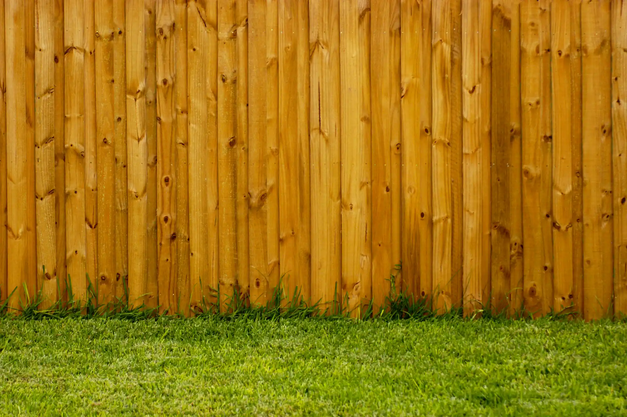 Close-up of cedar privacy fence boards along green lawn